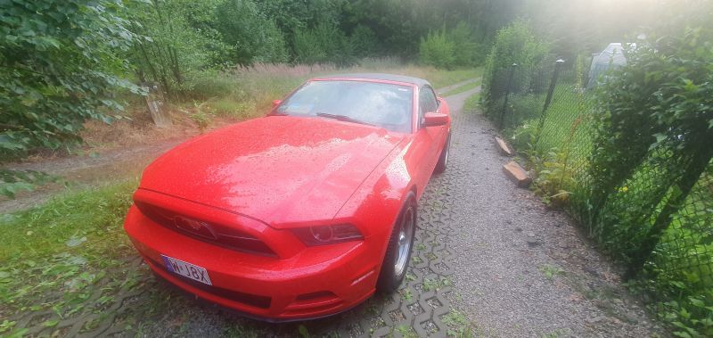 Ford  Mustang 