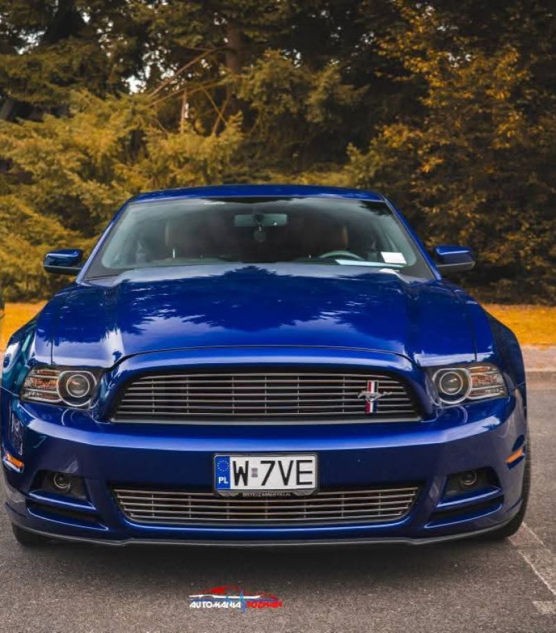 Ford  Mustang 