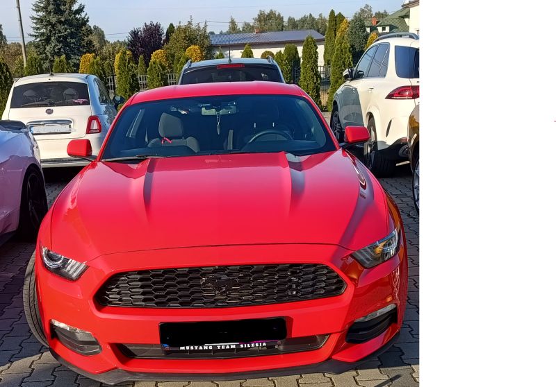 ford Mustang