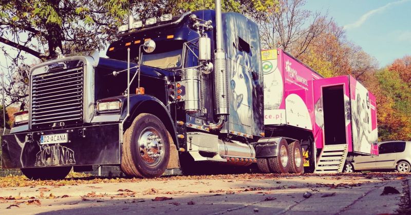 Freightliner Classic XL