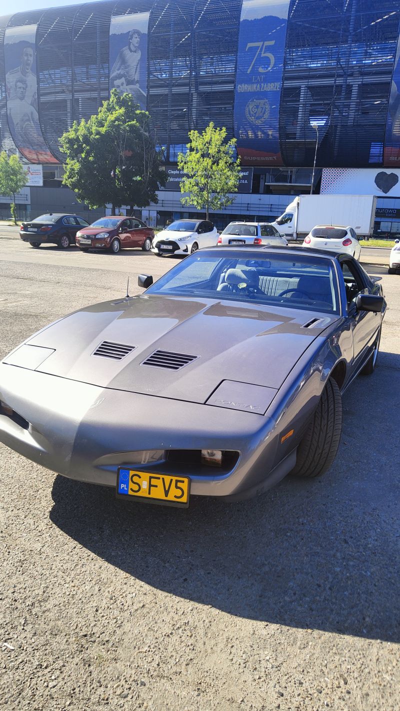 Pontiac Firebirds Trans Am