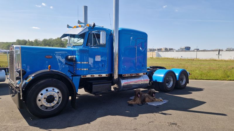 Peterbilt 359