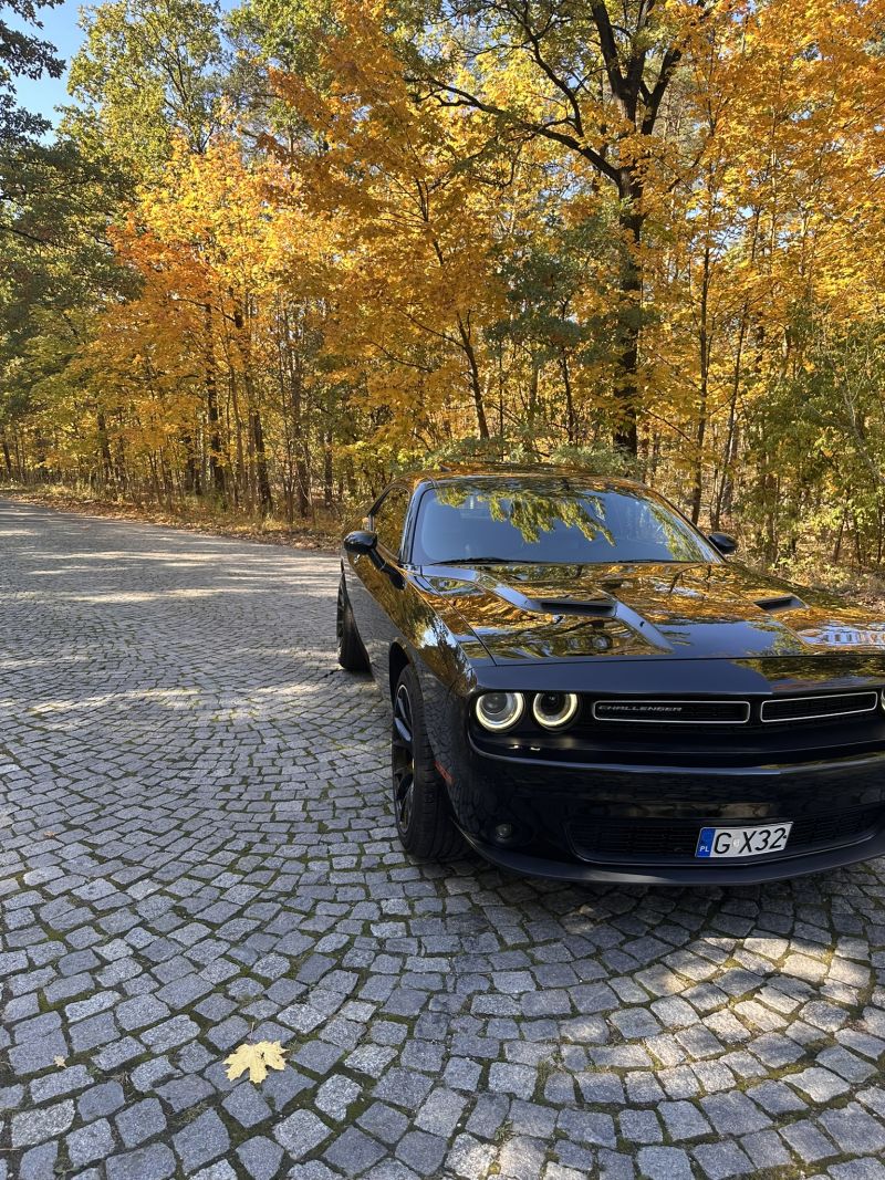 Dodge Challenger