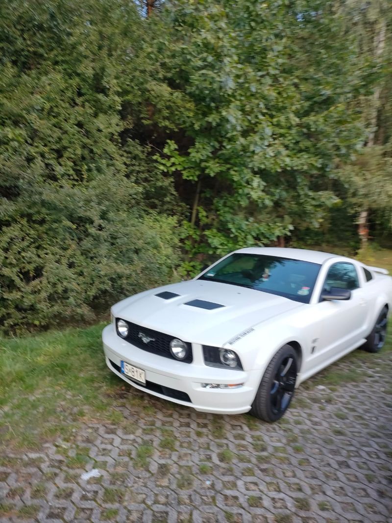 Ford Mustang 