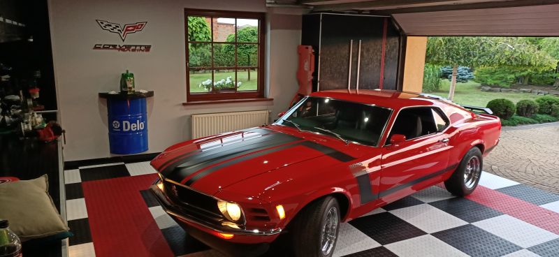 Ford  Mustang 