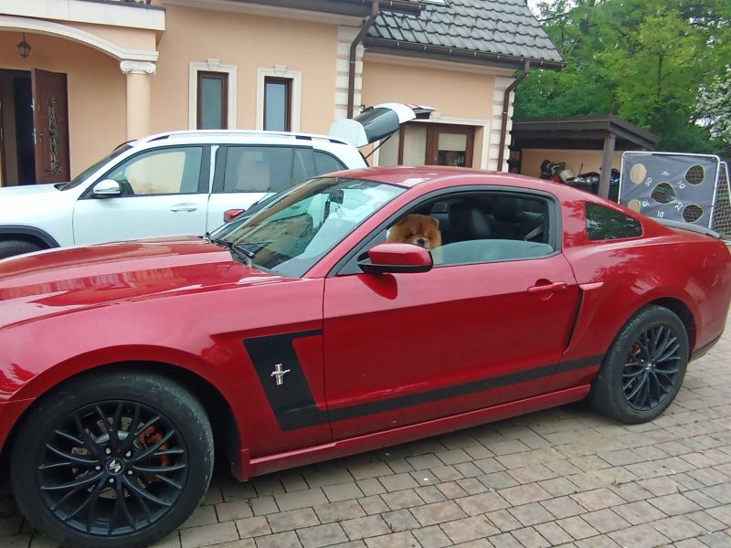 Ford  Mustang 