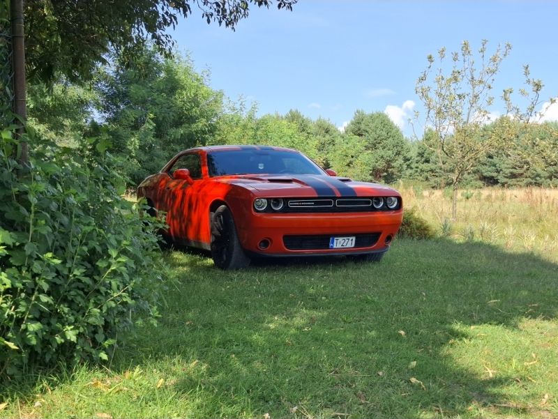Dodge  Challenger 