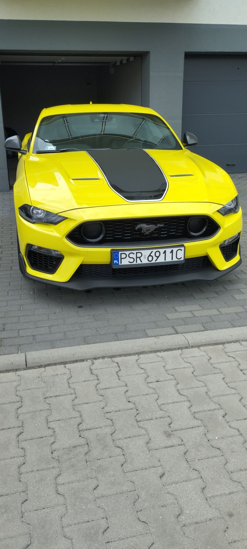 Ford Mustang  Mach 1
