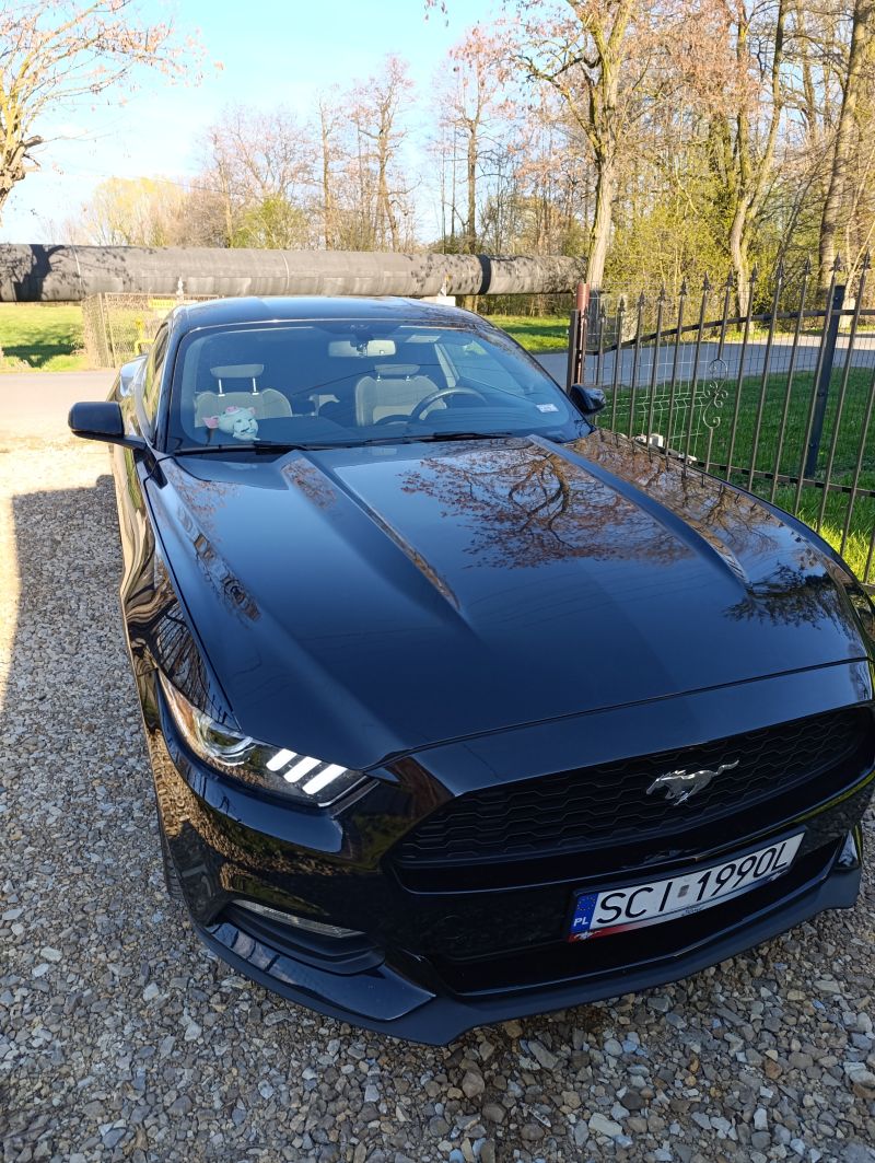 Ford Mustang 