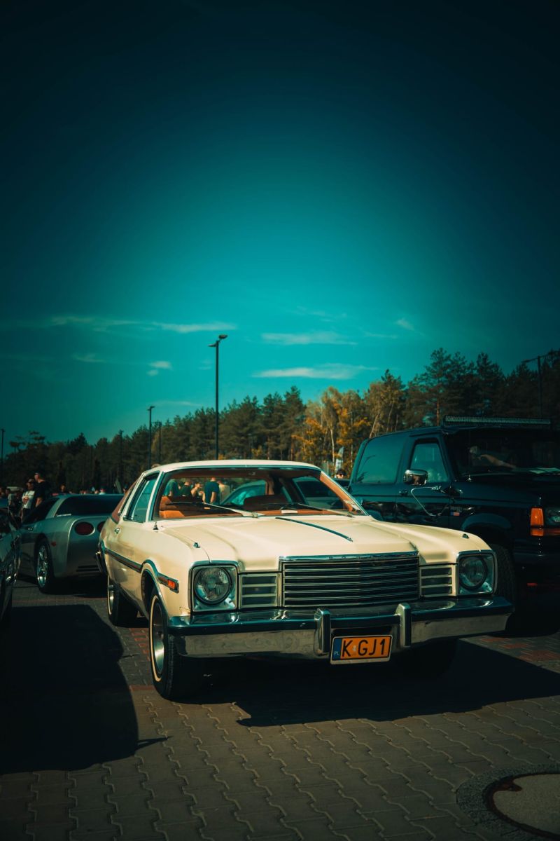 Dodge  Aspen 