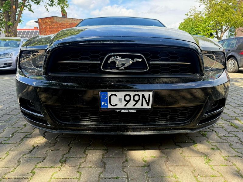 Mustang  Pony