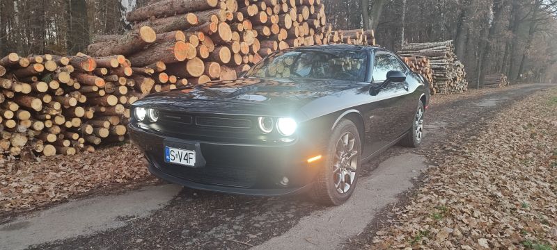 Dodge  Challenger 