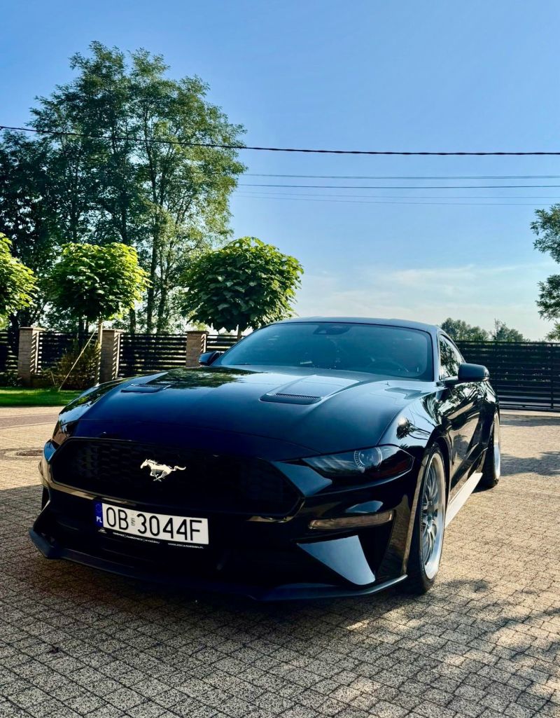 Ford  Mustang 