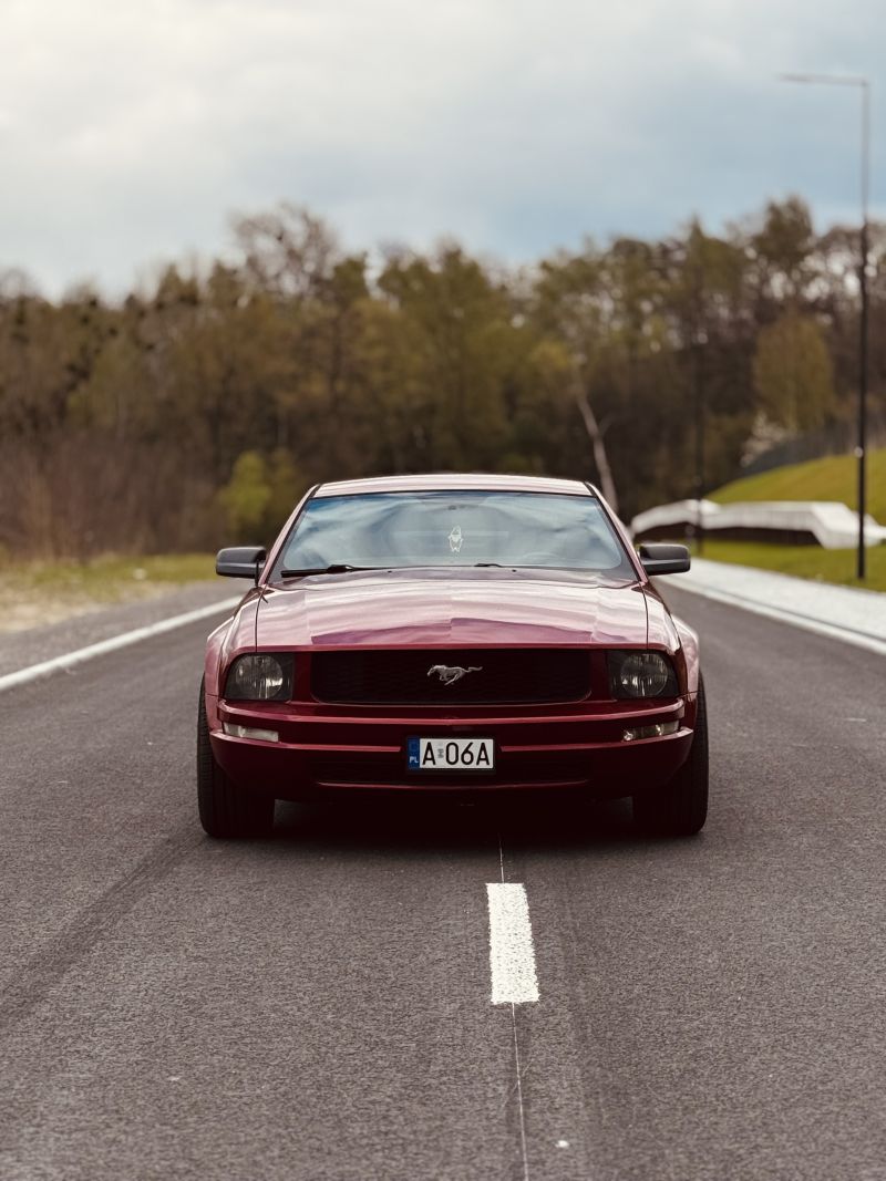 Ford  Mustang 