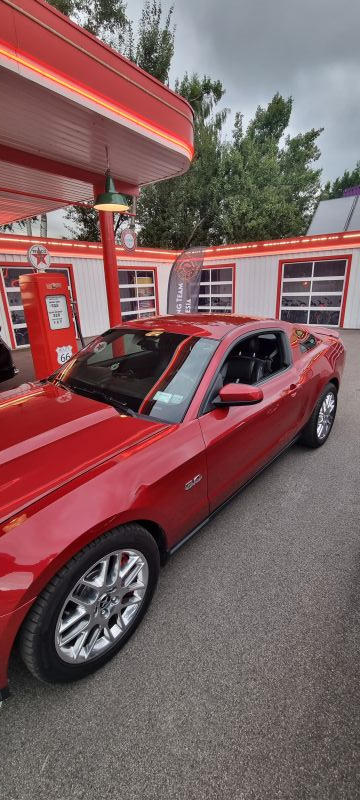 Ford  Mustang 