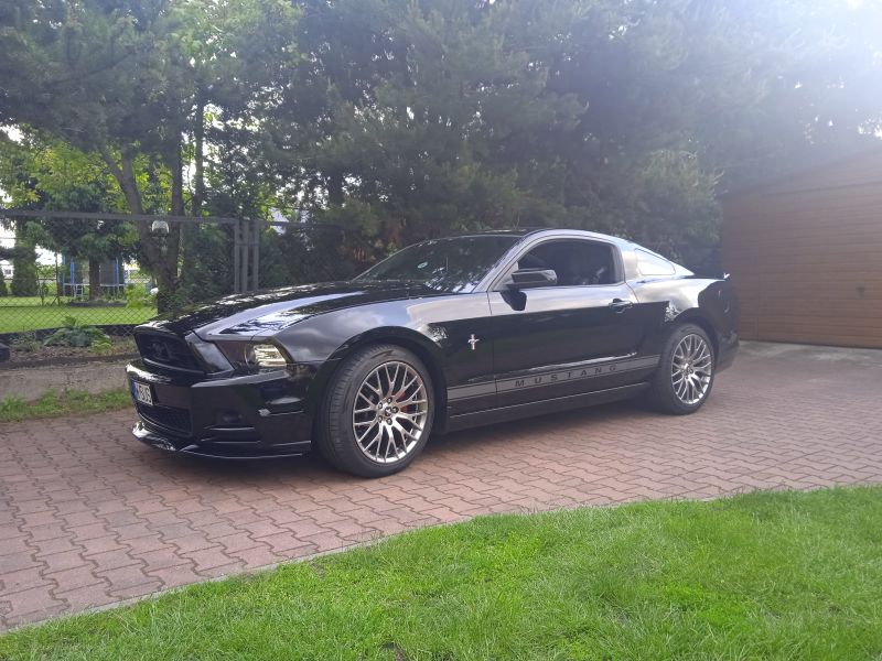 Ford  Mustang 