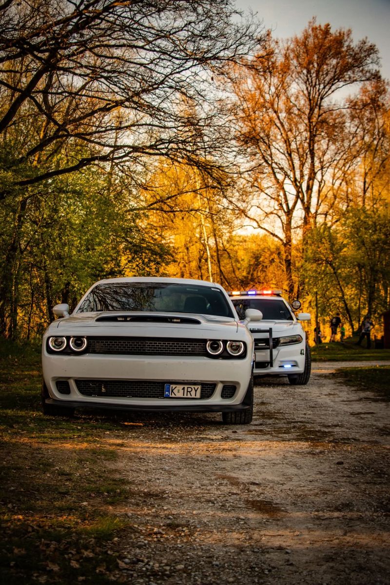 Dodge  Challenger