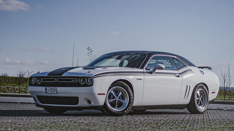 Dodge  Challenger