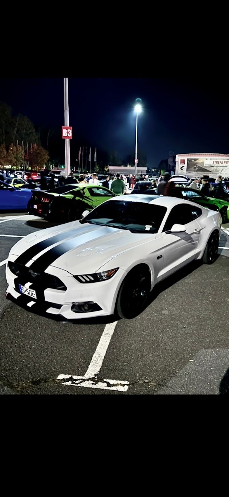 FORD MUSTANG