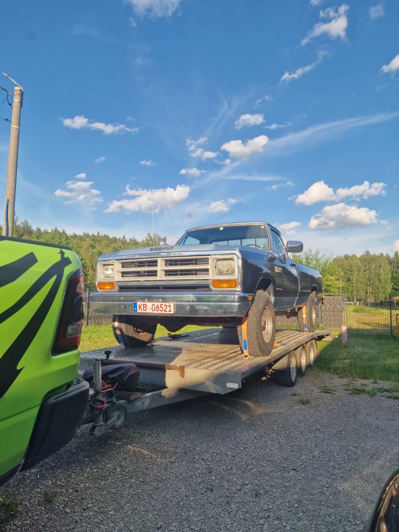 RAM W100