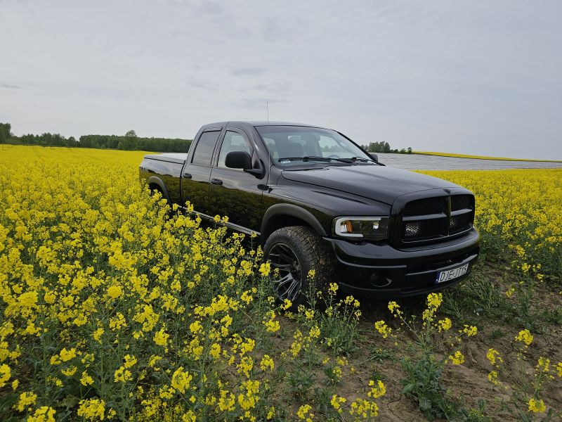 Dodge  Ram