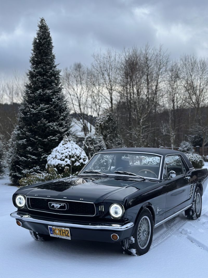 Ford Mustang 