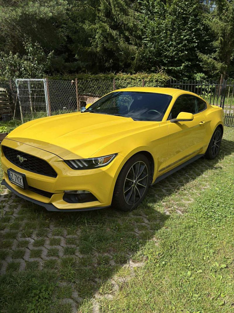 Ford  Mustang