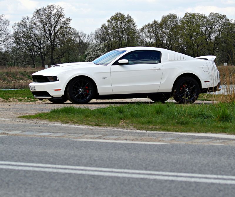 Ford MUSTANG 