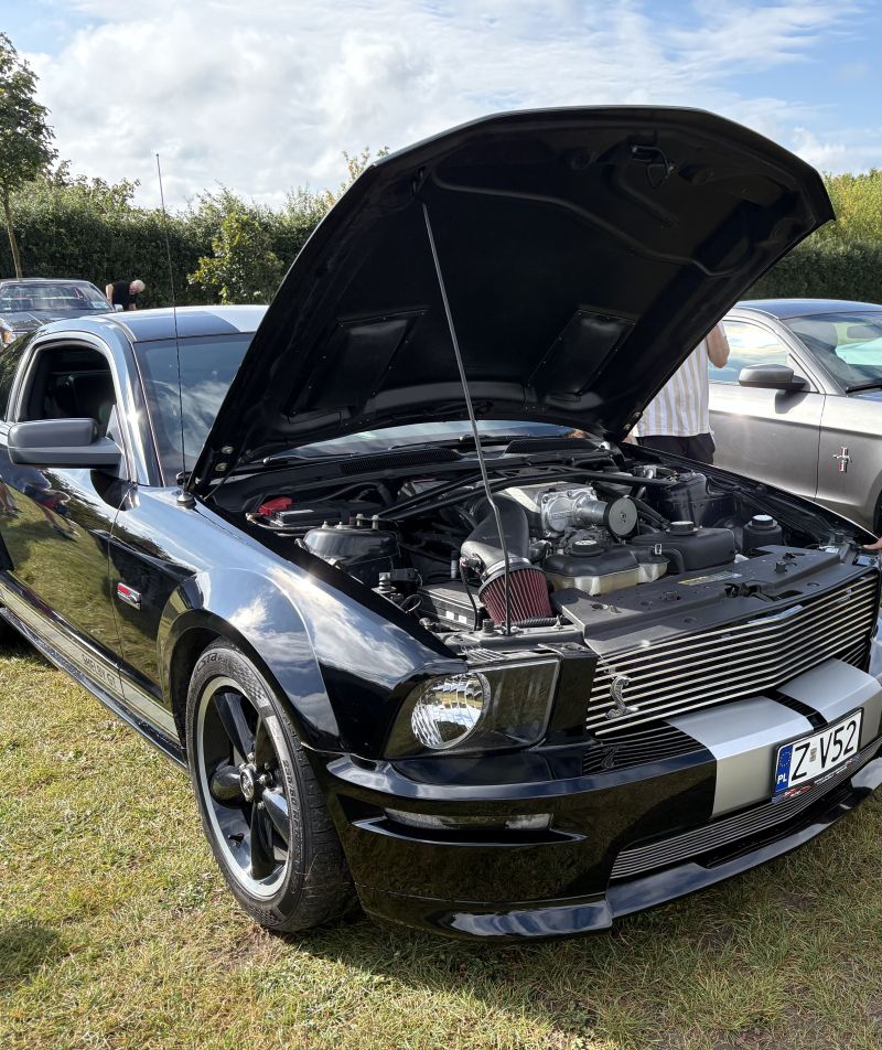 Ford Mustang shelby