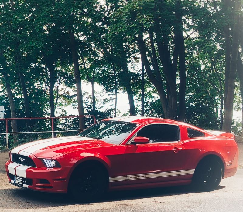 Ford  Mustang 
