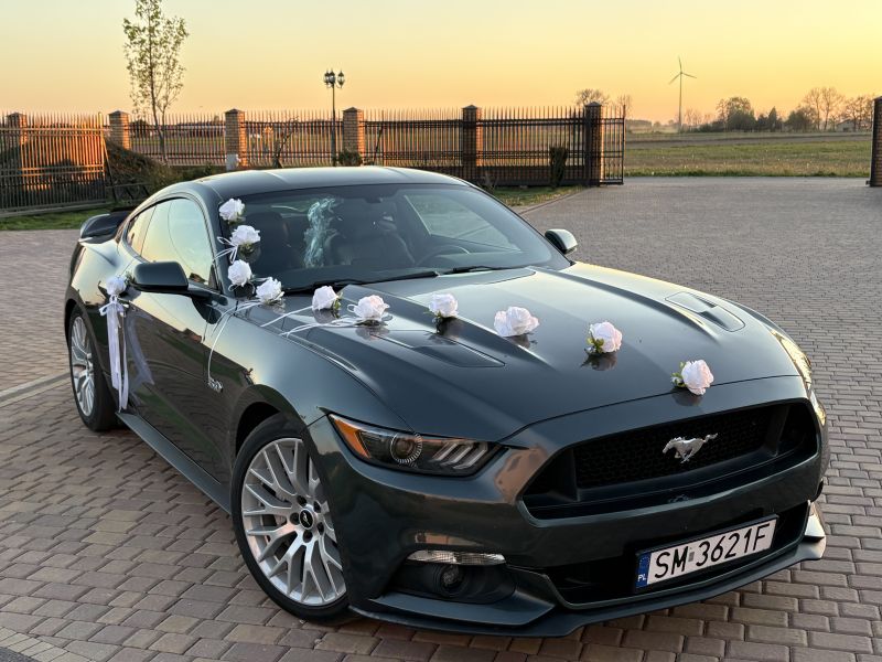 Ford  Mustang