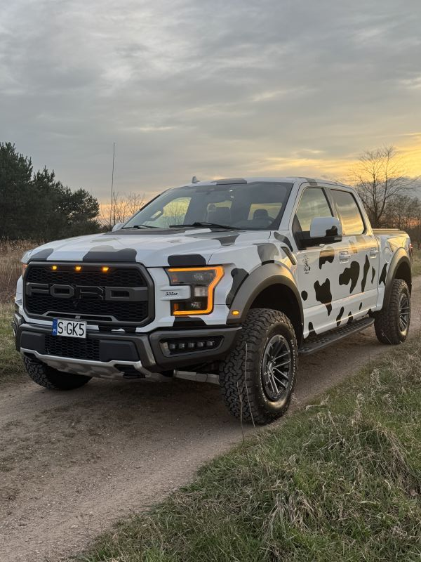 Ford F150 Raptor