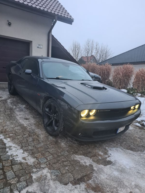 Dodge  Challenger 