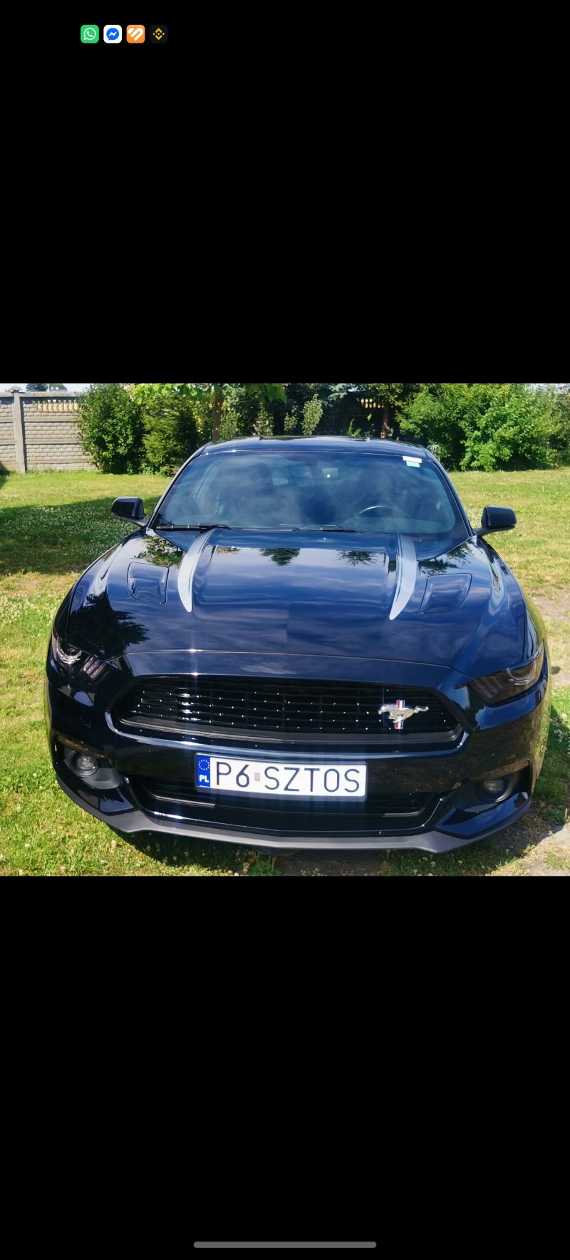 Ford Mustang GT California Special 