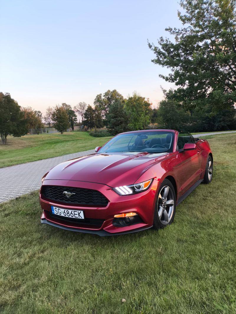 Ford Mustang 